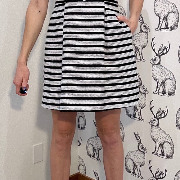 Women's Express Fit n Flare Sleeveless Dress with Pockets Blk/Wht Striped Sz6 - Picture 3 of 12